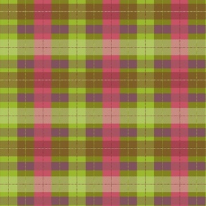 (S) Plaid in kelly green and raspberry pink