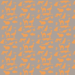 Animals Around the World in Grey and Orange