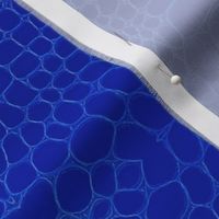 bright blue croc embossed leather