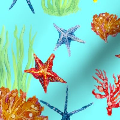 Sea Creatures Aqua