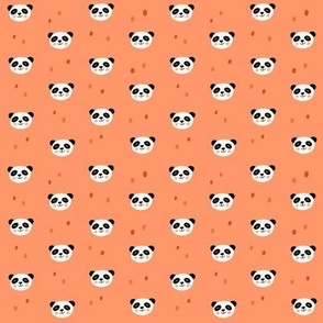 Baby Panda - Orange_small