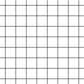Math grid Black and White High Contrast print on white