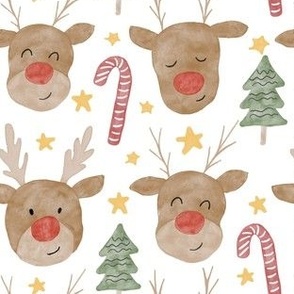 Reindeer Christmas 11