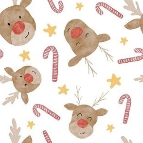 Reindeer Christmas 12