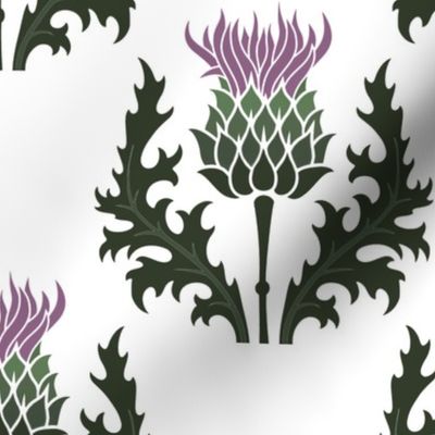 Large Scottish Thistle Flower of Scotland on White