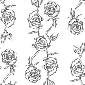 Hand-drawn Roses for Wallpaper & Fabric in Black & White