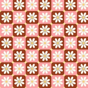 Checkered Daisy