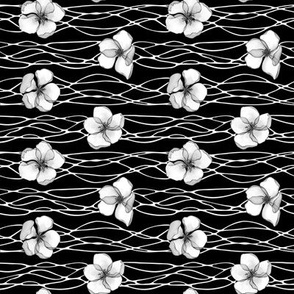 Black and white  sakura blossoms and waving white outline stripes on black background