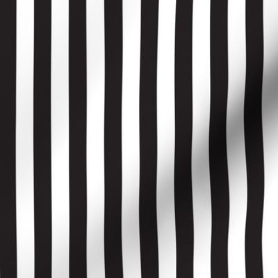 Stripes Black and White Pattern