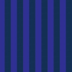 Stripes Blue and Navy Pattern