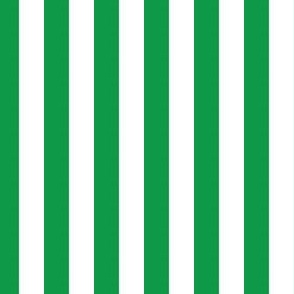 Stripe Green and White Check Pattern