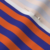 Stripes Orange and Blue Check Pattern Florida
