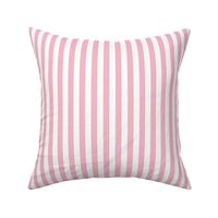 Stripe Pink and White Pattern