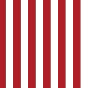 Stripes Red and White Pattern
