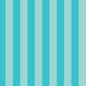 Teal and Light Teal Pattern Charlotte FC
