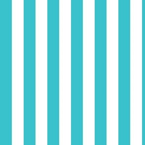 Teal and White Pattern Charlotte FC