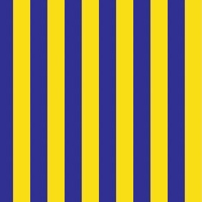 Stripes Yellow and Blue Pattern
