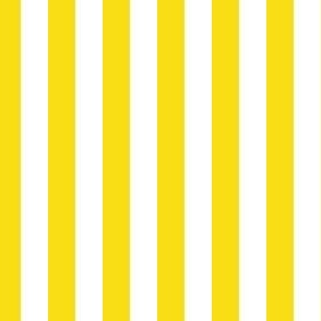 Stripes Yellow and White Pattern