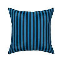 Stripes Blue and Black Pattern Carolina Football