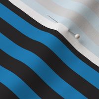 Stripes Blue and Black Pattern Carolina Football