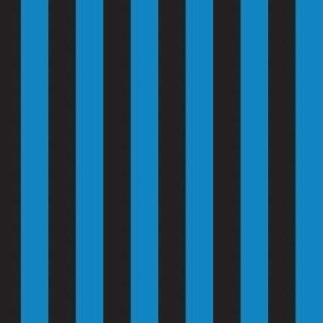 Stripes Blue and Black Pattern Carolina Football