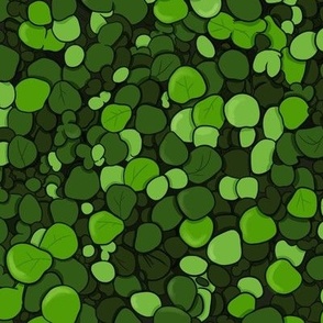 Green plant. Green shamrock print. St Patricks Day green shamrock print. Shades of green.