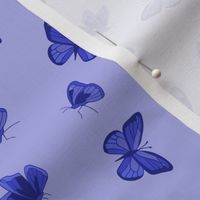 Periwinkle butterflies