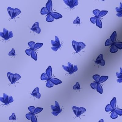 Periwinkle butterflies