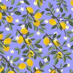 lemon garden_ small scale 