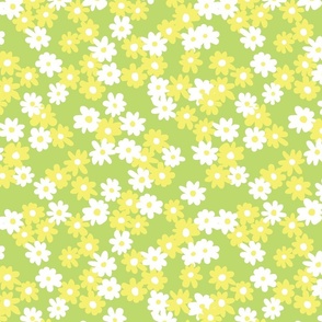 yellow & white flowers