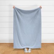 3/4” Gingham Elissa Blue on White