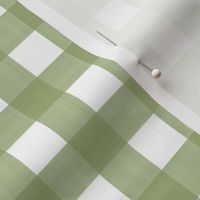 3/4” Gingham Sweet Pea Green on White