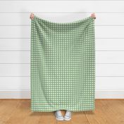 3/4” Gingham Fresh Green on White