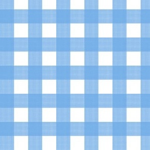 3/4” Gingham Cerulean on White