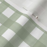 3/4” Gingham Quiet Green on White 