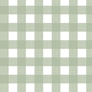 3/4” Gingham Quiet Green on White 