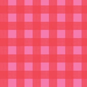 3/4” Gingham Valentine Red on Pink 