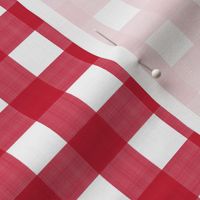 3/4” Gingham Candy Cane on White