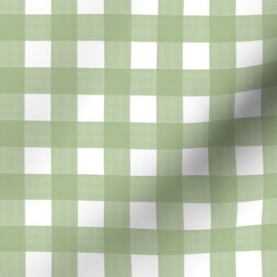 3/4” Gingham Pea Green on White 