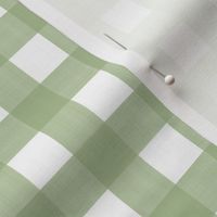 3/4” Gingham Pea Green on White 