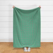 3/4” Gingham Revere Green on White 