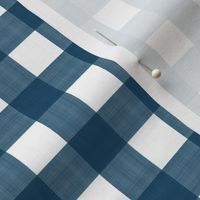 3/4” Gingham Navy on White (2)