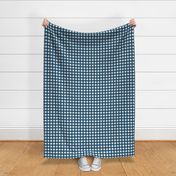 3/4” Gingham Navy on White (2)