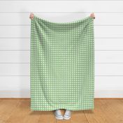 3/4” Gingham Spring Green on White 