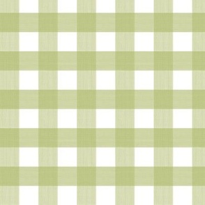 3/4” Gingham Lime Rickey on White 