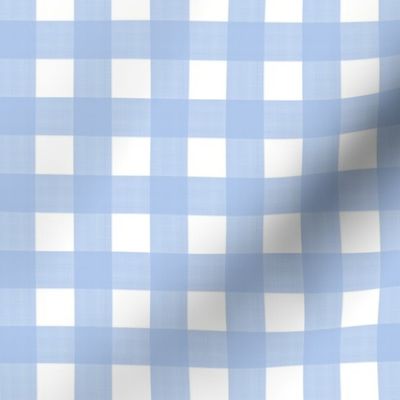 3/4” Gingham Soft Blue4  on White 