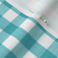 3/4” Gingham Turquoise on White 