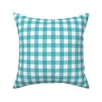 3/4” Gingham Turquoise on White 