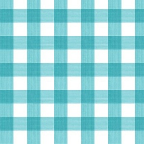 3/4” Gingham Turquoise on White 