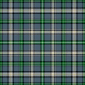 Scottish Clan MacDowall Tartan Plaid